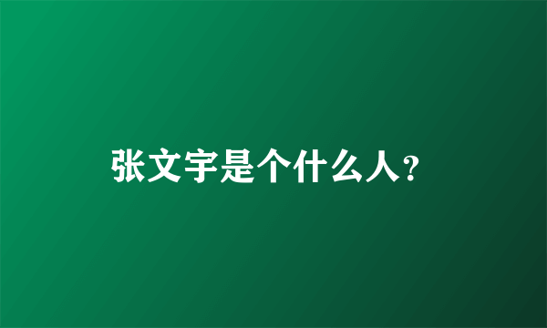 张文宇是个什么人？