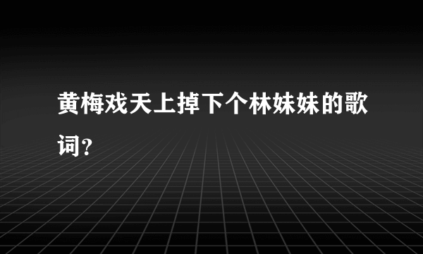 黄梅戏天上掉下个林妹妹的歌词？