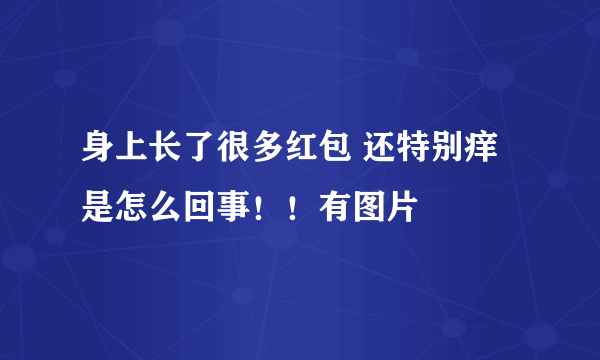 身上长了很多红包 还特别痒是怎么回事！！有图片