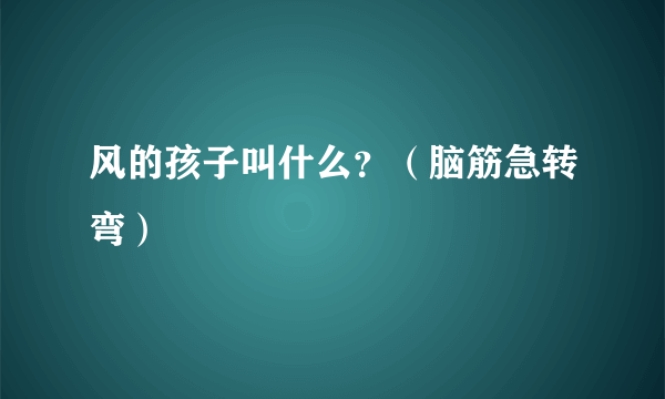 风的孩子叫什么？（脑筋急转弯）