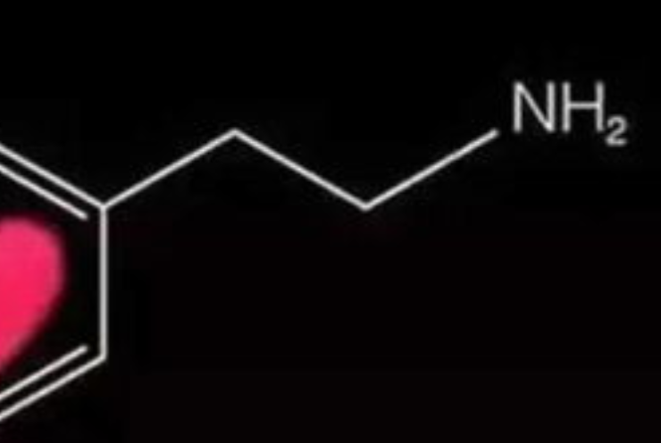 求苯基乙胺与苯氨基丙酸的区别。 关于爱情是哪个的作用？