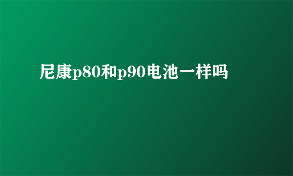 尼康p80和p90电池一样吗