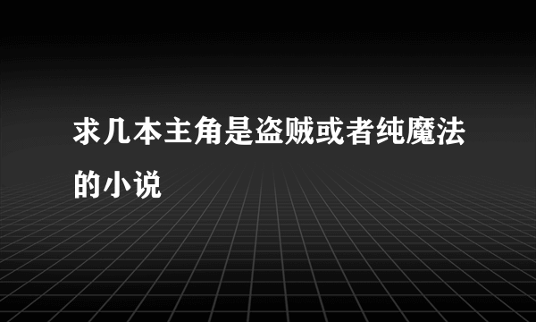 求几本主角是盗贼或者纯魔法的小说