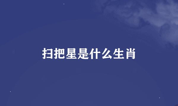 扫把星是什么生肖