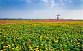 青岛北站怎么去青岛班芙春天民宿