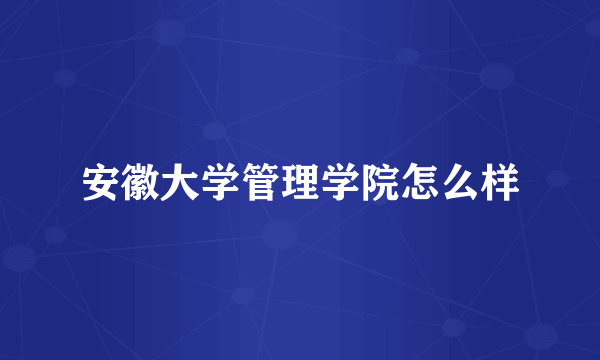 安徽大学管理学院怎么样