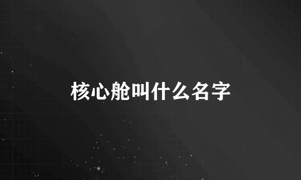 核心舱叫什么名字