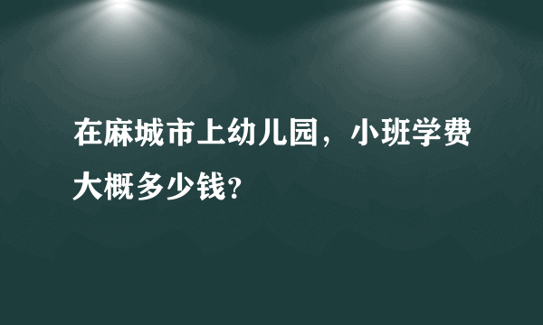 在麻城市上幼儿园，小班学费大概多少钱？