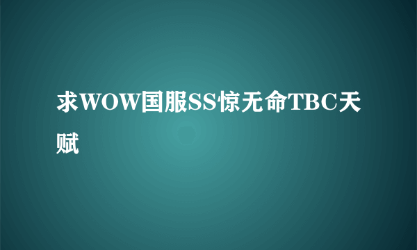 求WOW国服SS惊无命TBC天赋