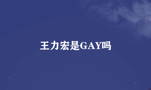 王力宏是GAY吗