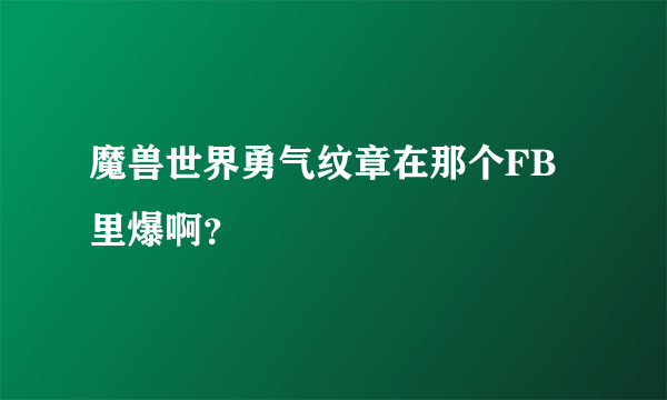 魔兽世界勇气纹章在那个FB里爆啊？