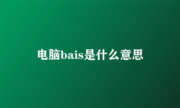 电脑bais是什么意思