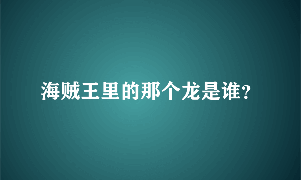 海贼王里的那个龙是谁？