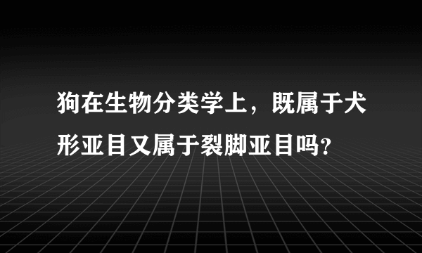 狗在生物分类学上，既属于犬形亚目又属于裂脚亚目吗？