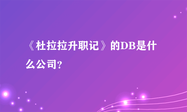 《杜拉拉升职记》的DB是什么公司？