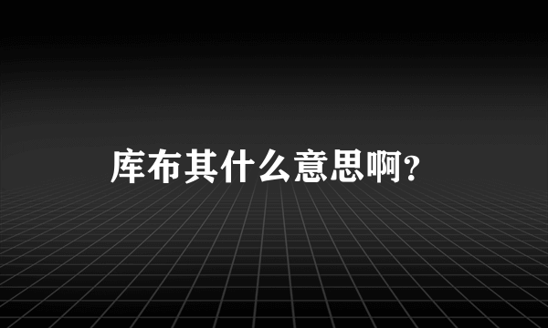 库布其什么意思啊？