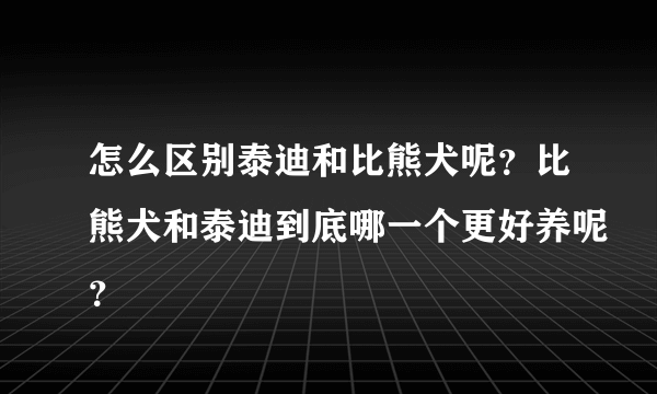 怎么区别泰迪和比熊犬呢？比熊犬和泰迪到底哪一个更好养呢？