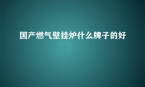 国产燃气壁挂炉什么牌子的好