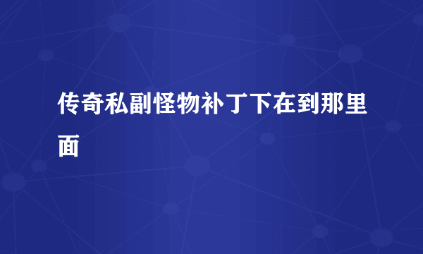 传奇私副怪物补丁下在到那里面