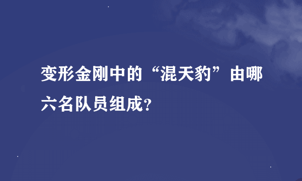 变形金刚中的“混天豹”由哪六名队员组成？