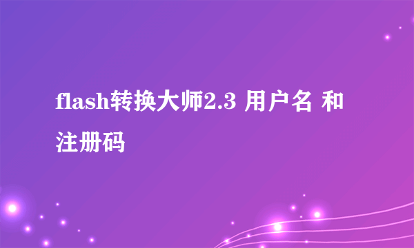 flash转换大师2.3 用户名 和注册码