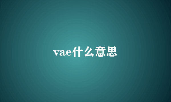 vae什么意思