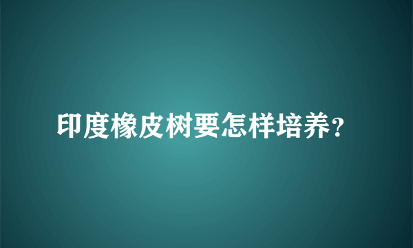 印度橡皮树要怎样培养？