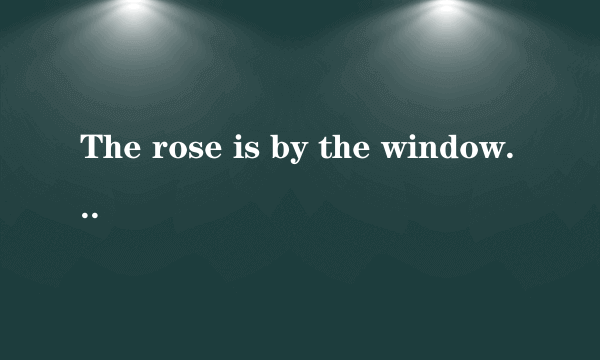 The rose is by the window in the snow,英语什么意思啊？