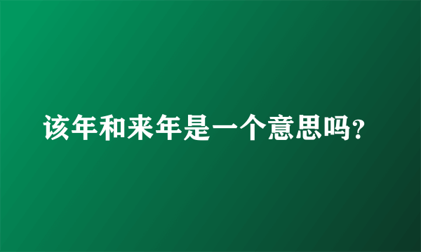 该年和来年是一个意思吗？