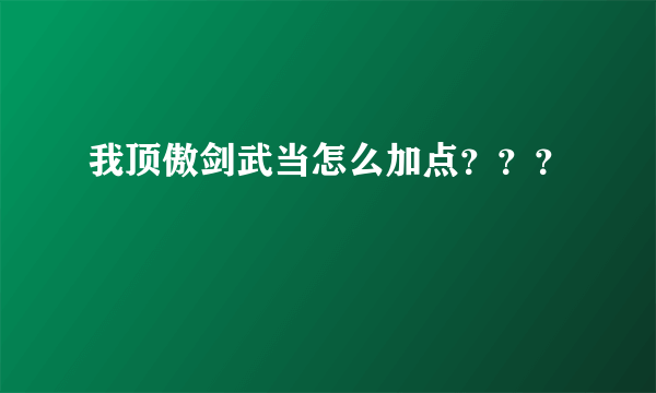 我顶傲剑武当怎么加点？？？