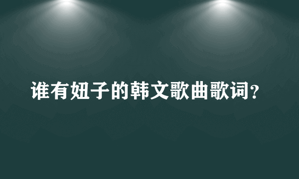 谁有妞子的韩文歌曲歌词？