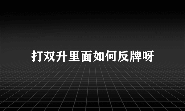 打双升里面如何反牌呀