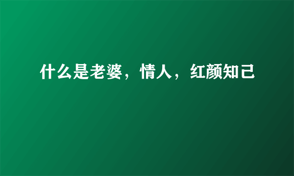 什么是老婆，情人，红颜知己