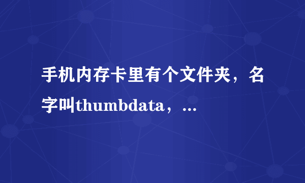 手机内存卡里有个文件夹，名字叫thumbdata，是什么意思？