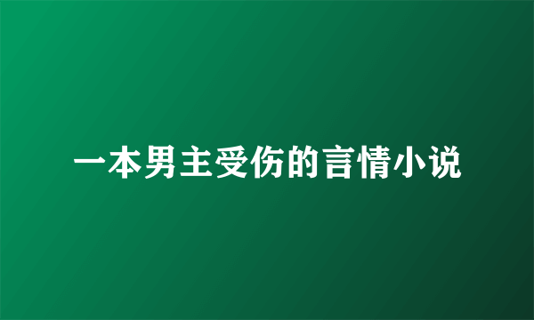 一本男主受伤的言情小说