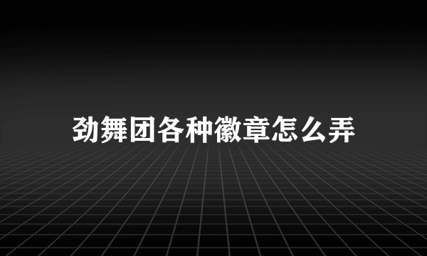 劲舞团各种徽章怎么弄