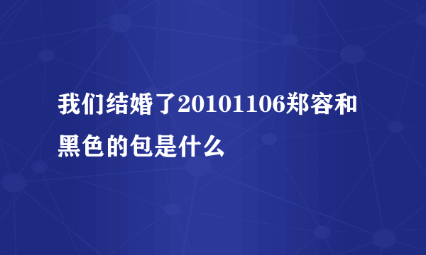 我们结婚了20101106郑容和黑色的包是什么