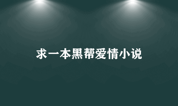 求一本黑帮爱情小说