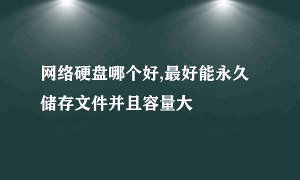 网络硬盘哪个好,最好能永久储存文件并且容量大