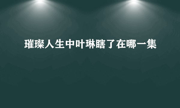 璀璨人生中叶琳瞎了在哪一集