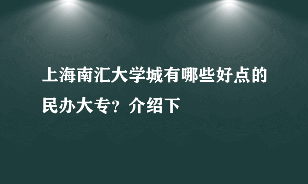 上海南汇大学城有哪些好点的民办大专？介绍下