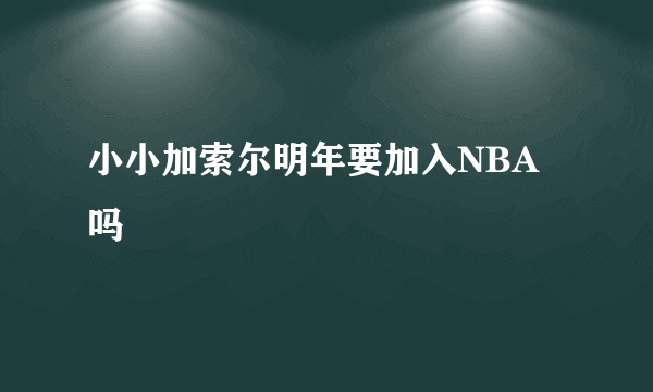 小小加索尔明年要加入NBA吗