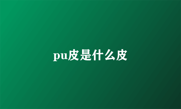 pu皮是什么皮