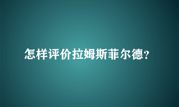 怎样评价拉姆斯菲尔德？