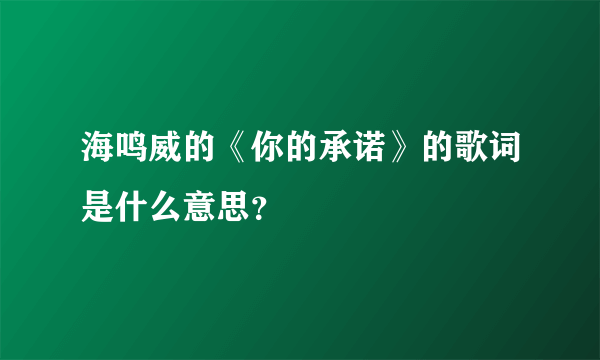 海鸣威的《你的承诺》的歌词是什么意思？