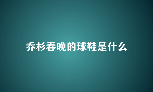 乔杉春晚的球鞋是什么