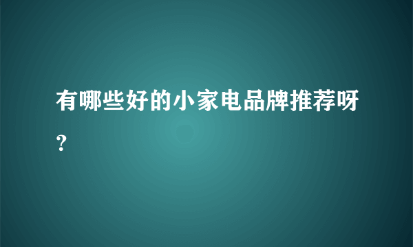 有哪些好的小家电品牌推荐呀？