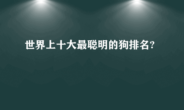 世界上十大最聪明的狗排名?