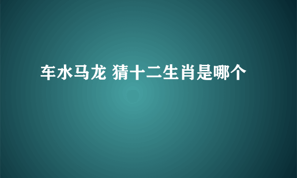 车水马龙 猜十二生肖是哪个