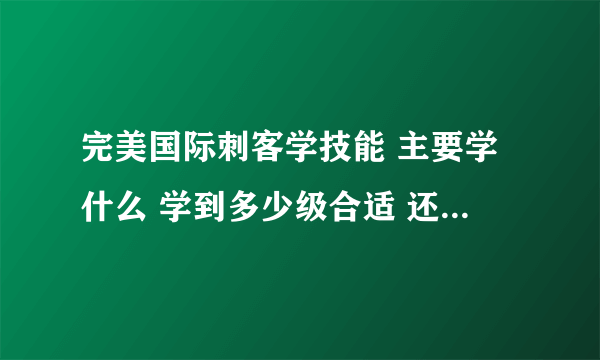 完美国际刺客学技能 主要学什么 学到多少级合适 还有加点详细解释 求大师